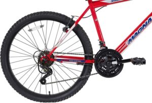 Magna Mountain Bike brake and gear